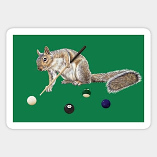 Squirrel playing pool Magnet